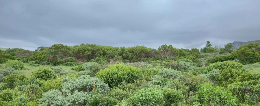 0 Bedroom Property for Sale in Kleinbaai Western Cape